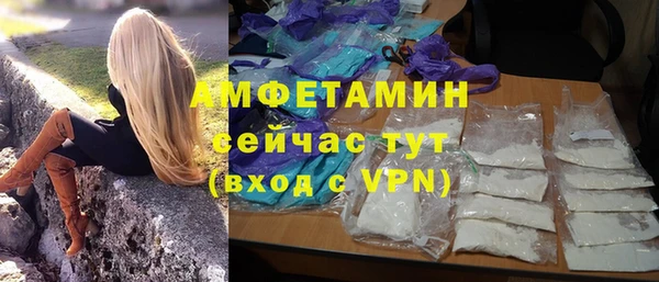 ГАЛЛЮЦИНОГЕННЫЕ ГРИБЫ Белокуриха