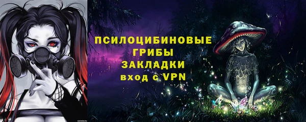 ГАЛЛЮЦИНОГЕННЫЕ ГРИБЫ Белокуриха