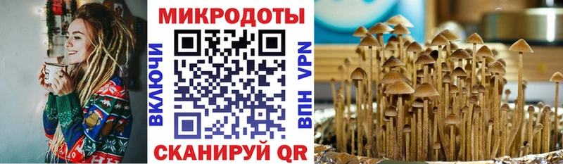 Псилоцибиновые грибы Psilocybine cubensis  МЕГА ТОР  Касли 